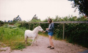 pegasus the miniature horse and me